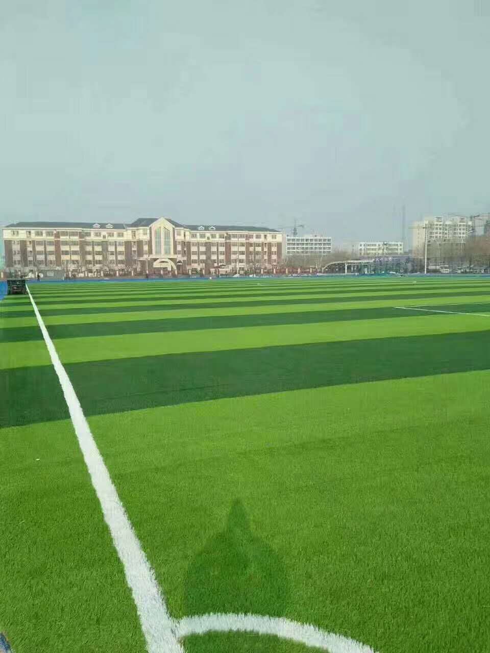 鹤岗市预制型跑道仿真草坪 - 推荐